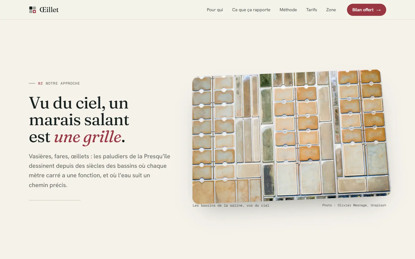 Section « Vu du ciel, un marais salant est une grille » avec photo aérienne
