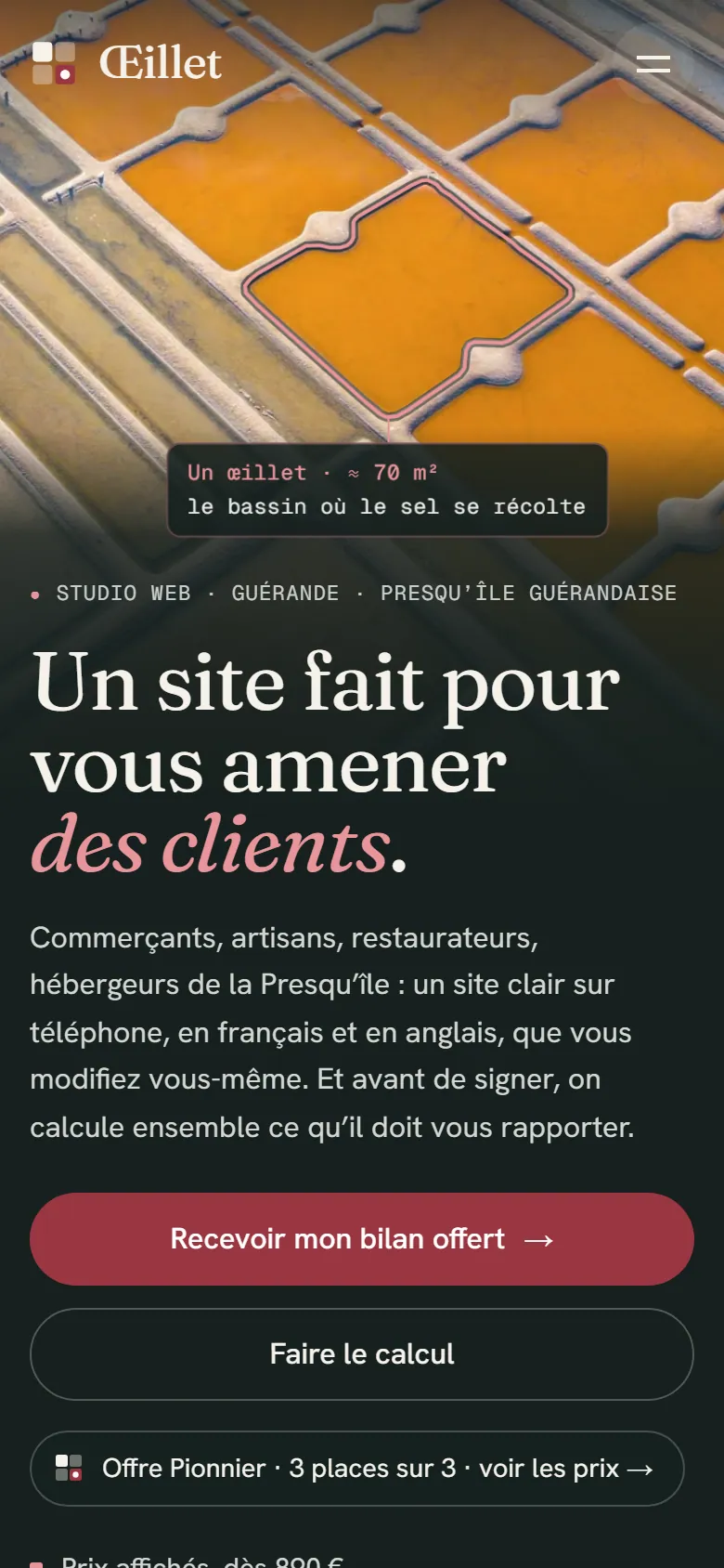 Page d'accueil Œillet sur mobile